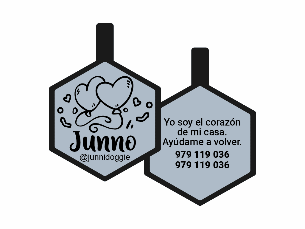 PLACA DE IDENTIFICACIÓN HEXÁGONO - GLOBOS DE AMOR1