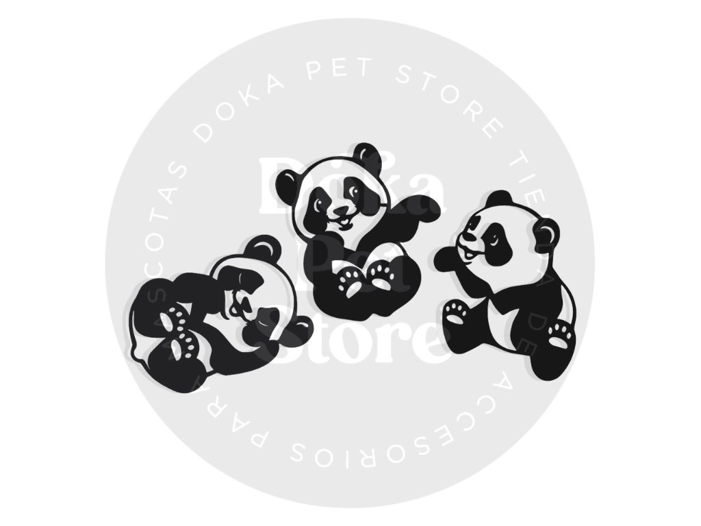 PANDAS 11