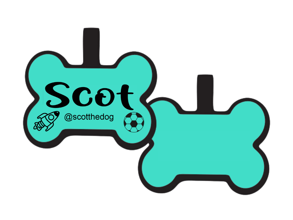 PLACA DE IDENTIFICACIÓN HUESO - NAVE ESPACIAL Y PELOTA4