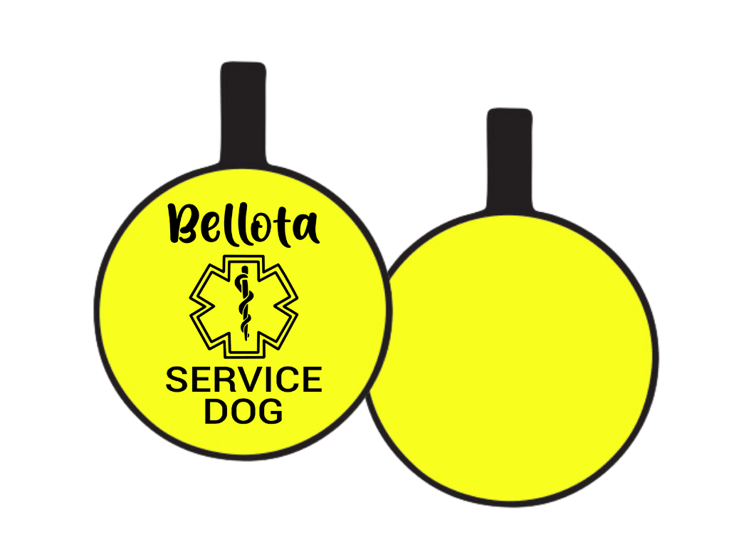 PLACA DE IDENTIFICACIÓN CIRCULO - ALERTA MÉDICA6