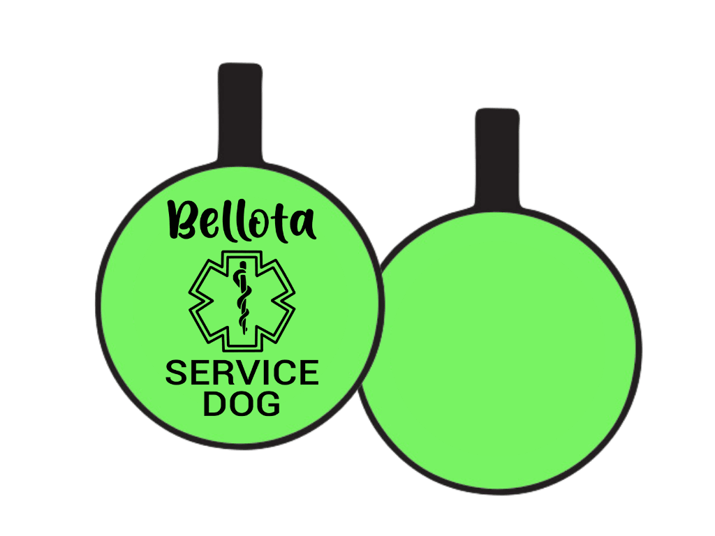 PLACA DE IDENTIFICACIÓN CIRCULO - ALERTA MÉDICA7