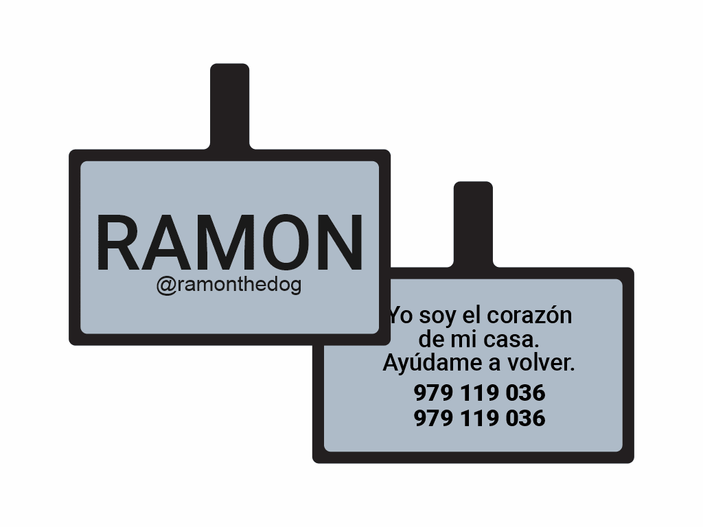 PLACA DE IDENTIFICACIÓN RECTÁNGULO - SIN DISEÑO6