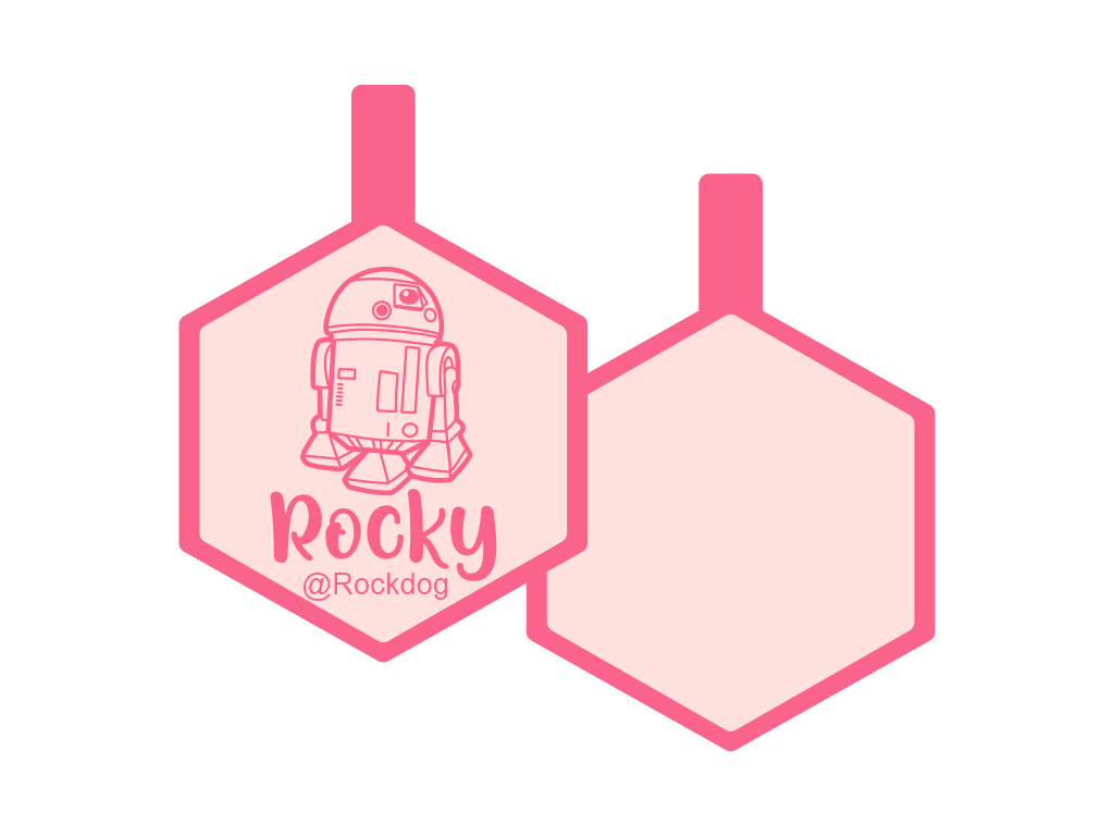 PLACA DE IDENTIFICACIÓN HEXÁGONO - R2D213