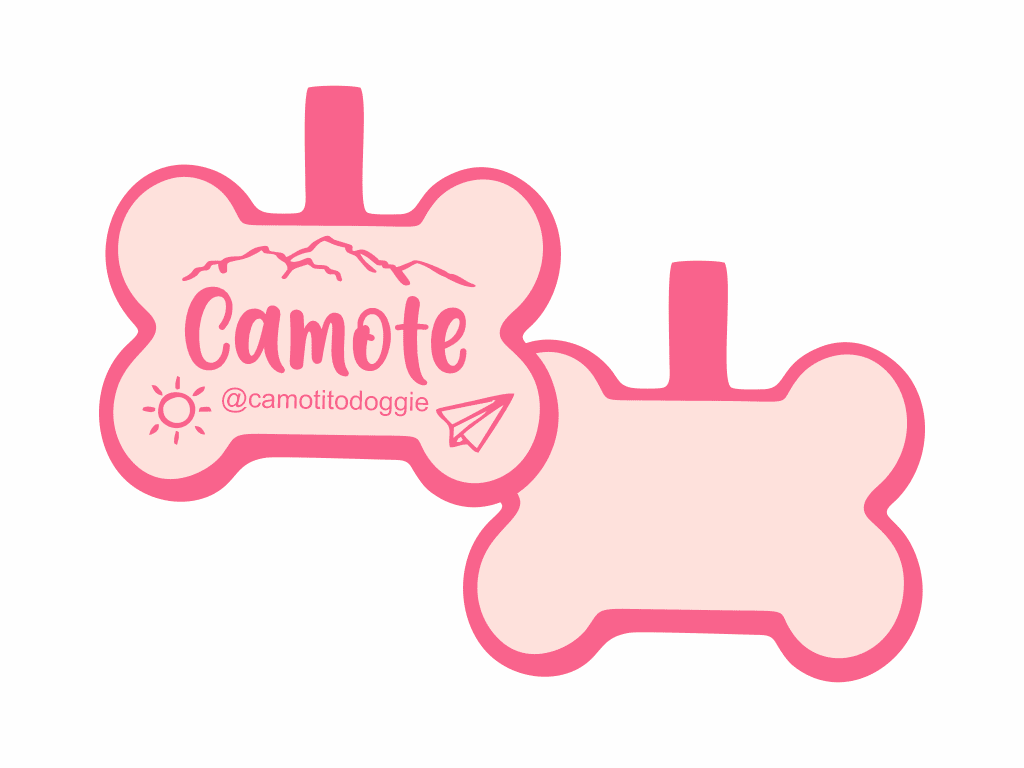 PLACA DE IDENTIFICACIÓN HUESO - AVENTURA14