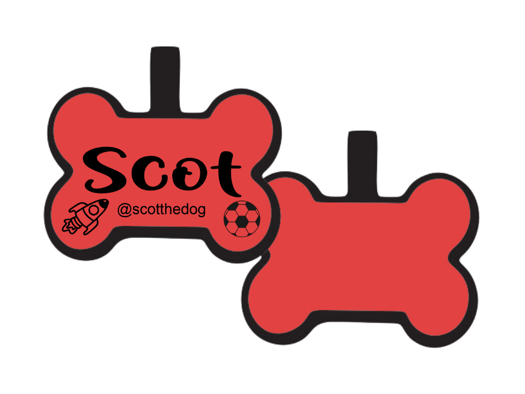 PLACA DE IDENTIFICACIÓN HUESO - NAVE ESPACIAL Y PELOTA11