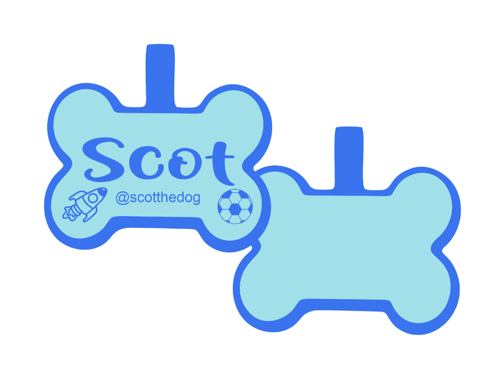 PLACA DE IDENTIFICACIÓN HUESO - NAVE ESPACIAL Y PELOTA13