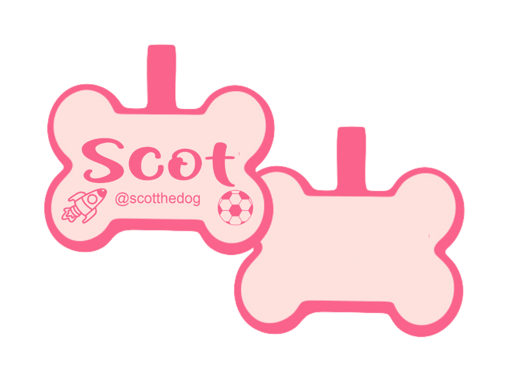 PLACA DE IDENTIFICACIÓN HUESO - NAVE ESPACIAL Y PELOTA14