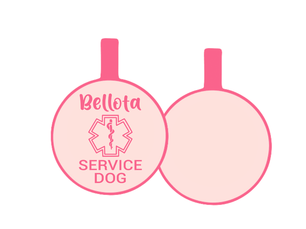 PLACA DE IDENTIFICACIÓN CIRCULO - ALERTA MÉDICA14