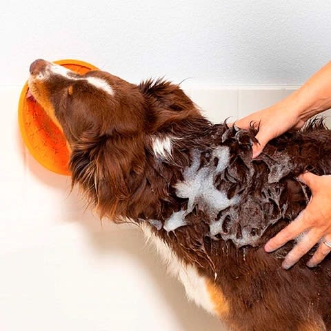 LICKIMAT SPLASH4