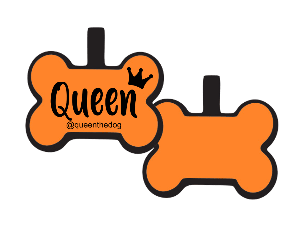 PLACA DE IDENTIFICACIÓN HUESO - QUEEN9
