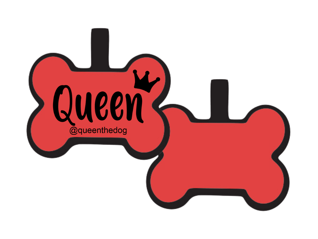 PLACA DE IDENTIFICACIÓN HUESO - QUEEN11