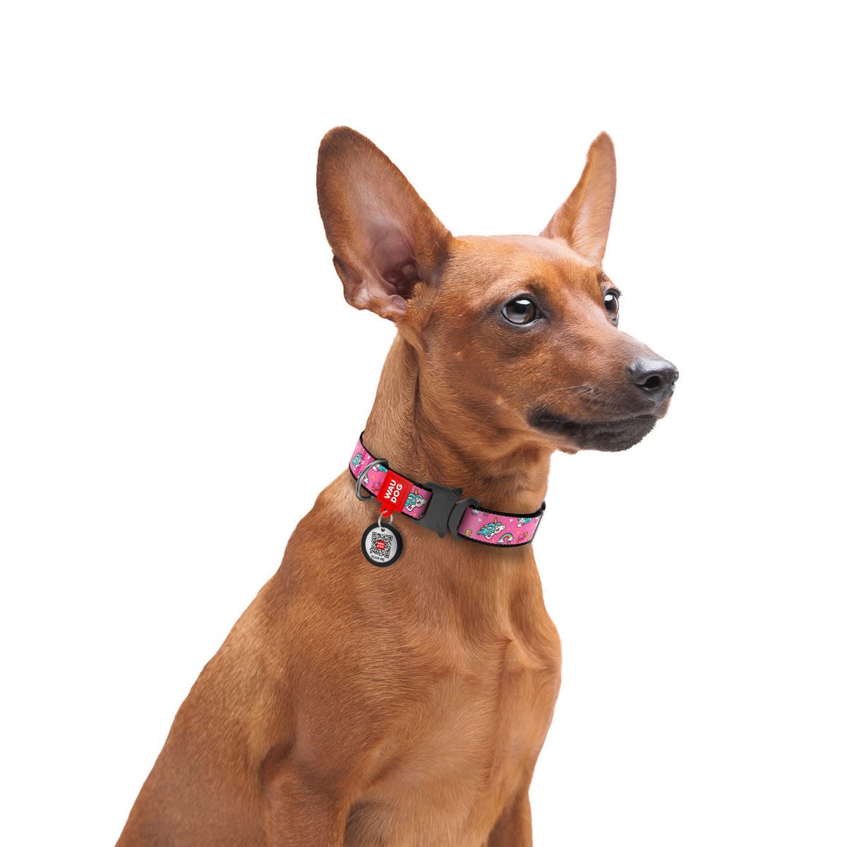 WAUDOG COLLAR UNICORNS - HEBILLA FASTEX METAL - PLACA QR3