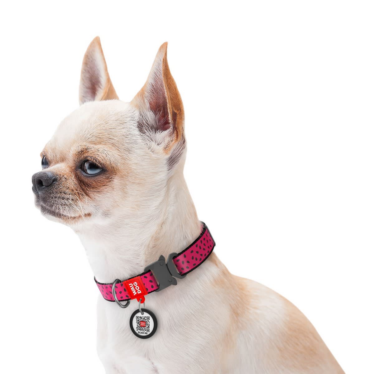 WAUDOG COLLAR WATERMELON - HEBILLA FASTEX METAL - PLACA QR2