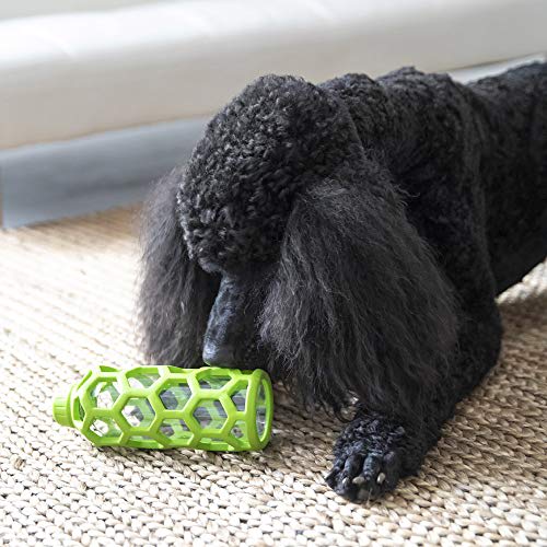 JW HOL-EE BOTTLE MEDIUM3