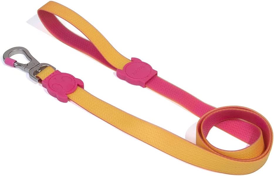 ZEEDOG CORREA NEOPRO LYRA1