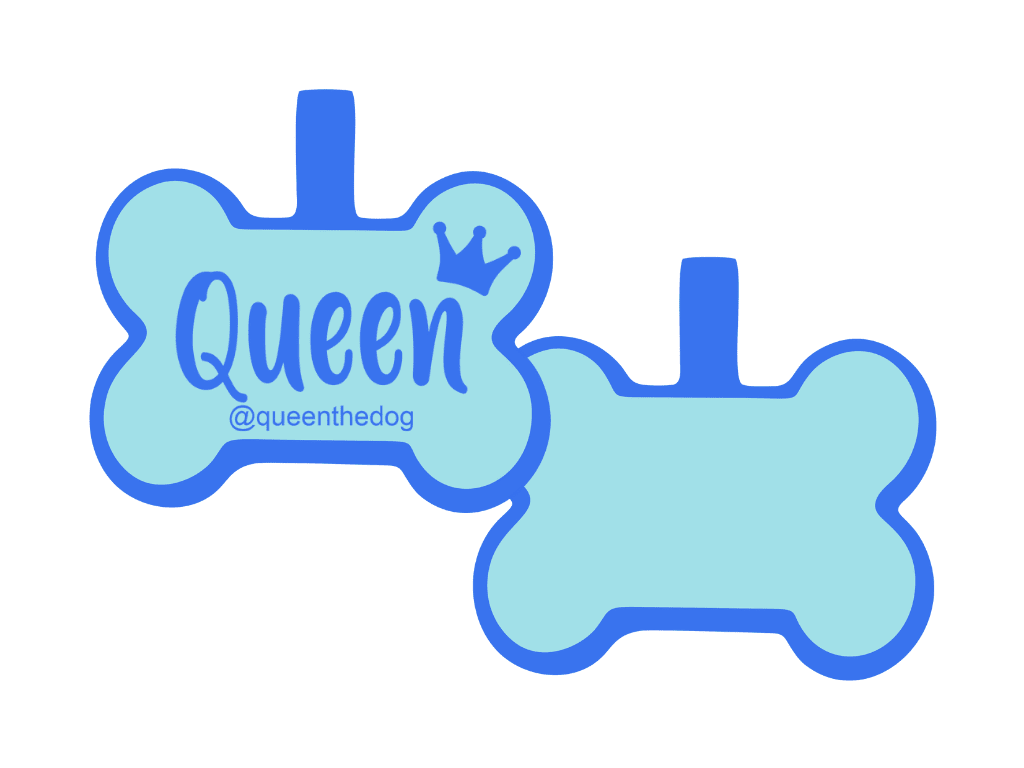 PLACA DE IDENTIFICACIÓN HUESO - QUEEN13