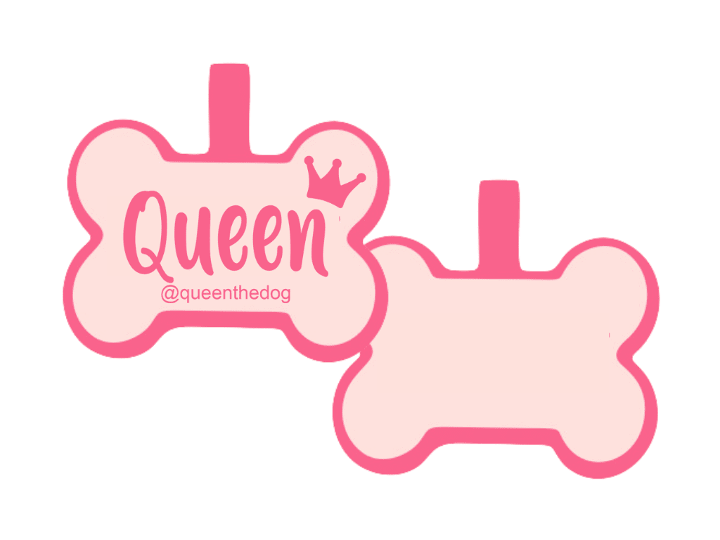 PLACA DE IDENTIFICACIÓN HUESO - QUEEN14