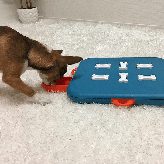 NINA OTTOSSON DOG CASINO - NIVEL32