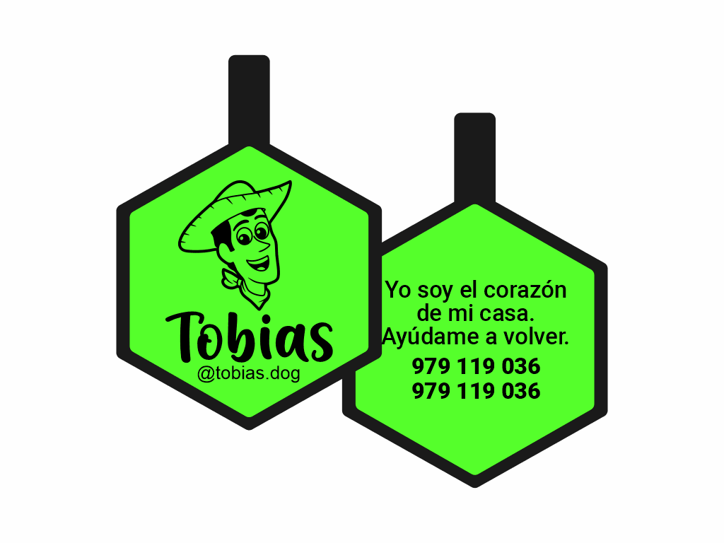 PLACA DE IDENTIFICACIÓN HEXÁGONO - WOODY1