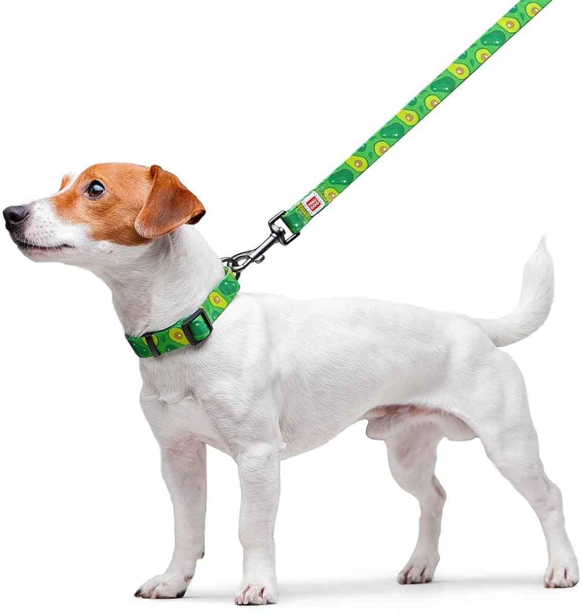 WAUDOG CORREA AVOCADO2