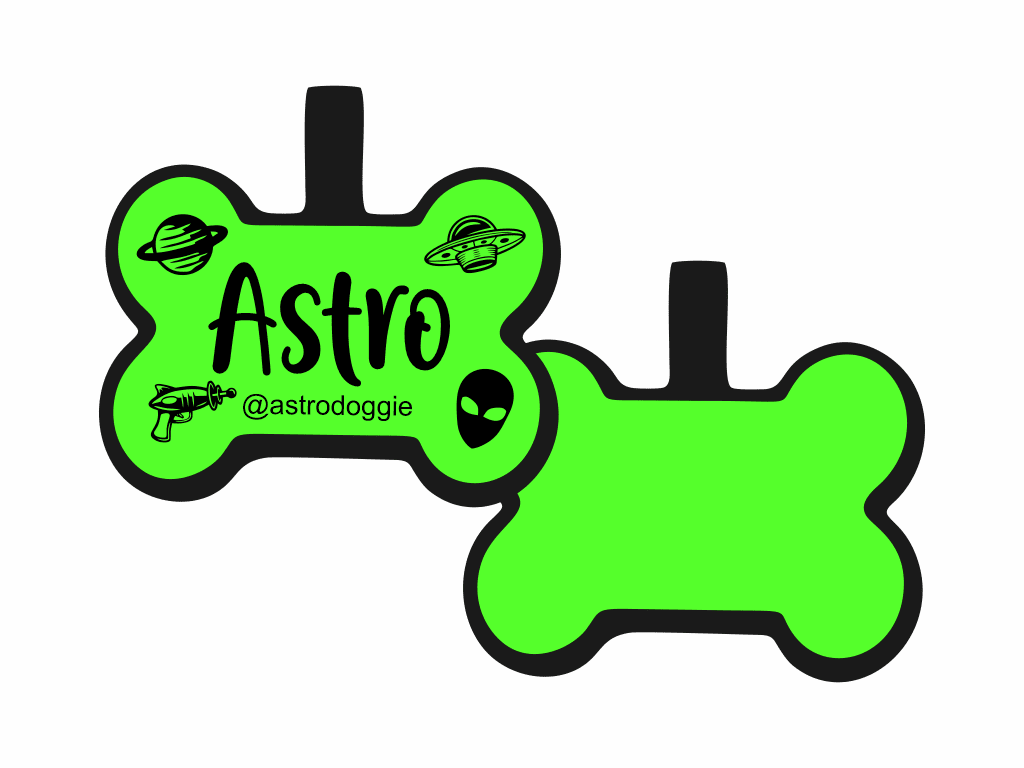 PLACA DE IDENTIFICACIÓN HUESO - ESPACIAL8