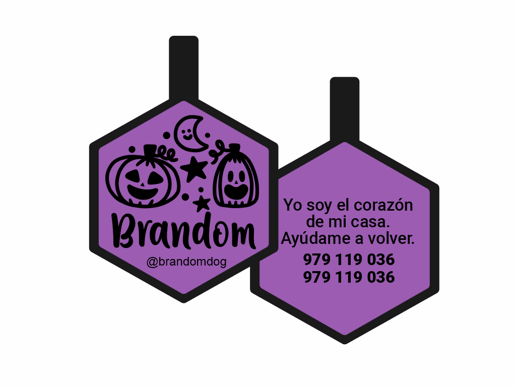 PLACA DE IDENTIFICACIÓN HALLOWEEN HEXÁGONO - FIESTA DE CALABAZAS1