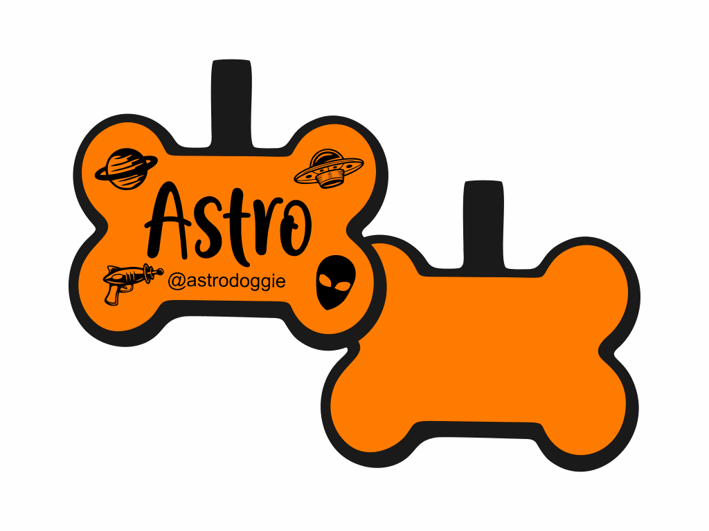 PLACA DE IDENTIFICACIÓN HUESO - ESPACIAL10