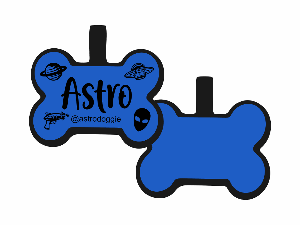 PLACA DE IDENTIFICACIÓN HUESO - ESPACIAL11