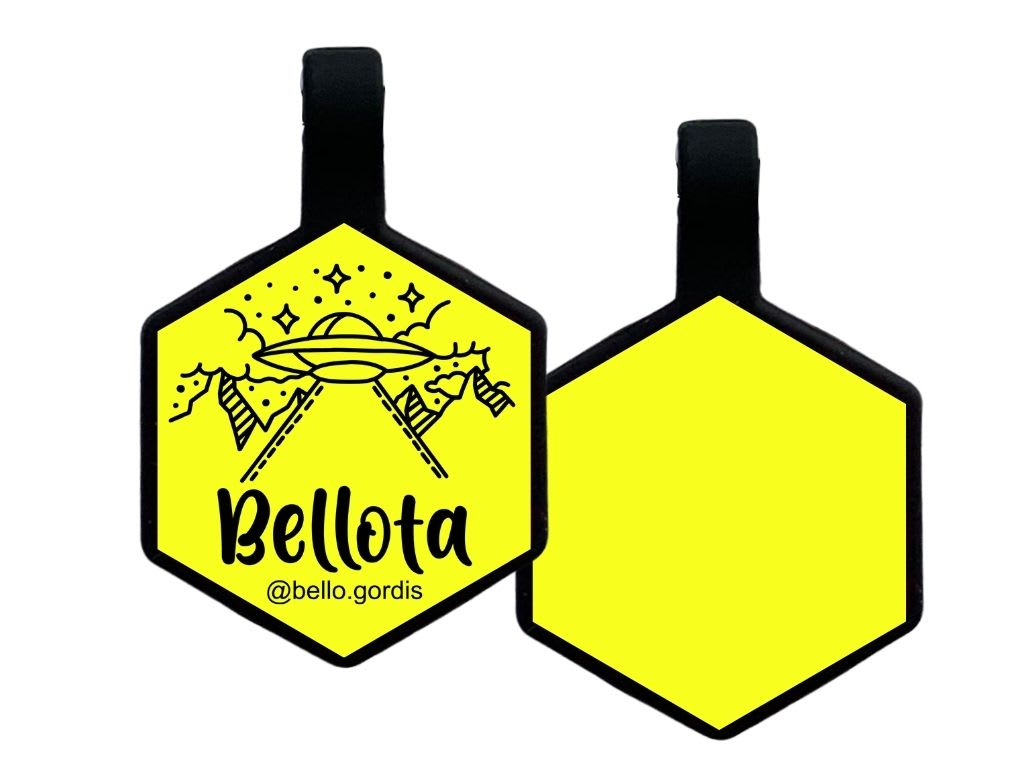 PLACA DE IDENTIFICACIÓN HEXÁGONO - ALIEN6