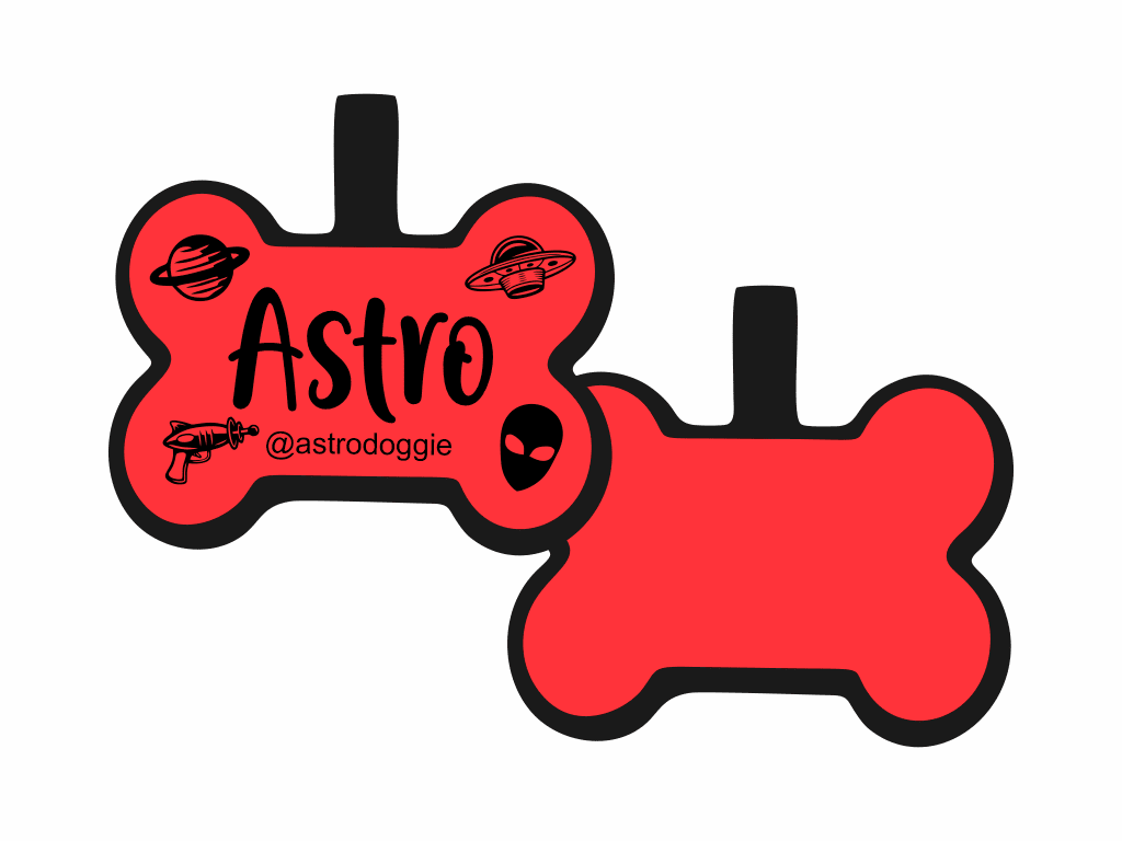 PLACA DE IDENTIFICACIÓN HUESO - ESPACIAL12