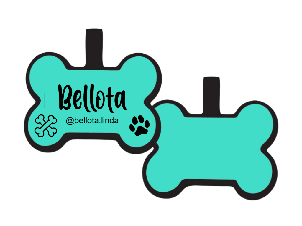 PLACA DE IDENTIFICACIÓN HUESO - DOGGIE PAW4