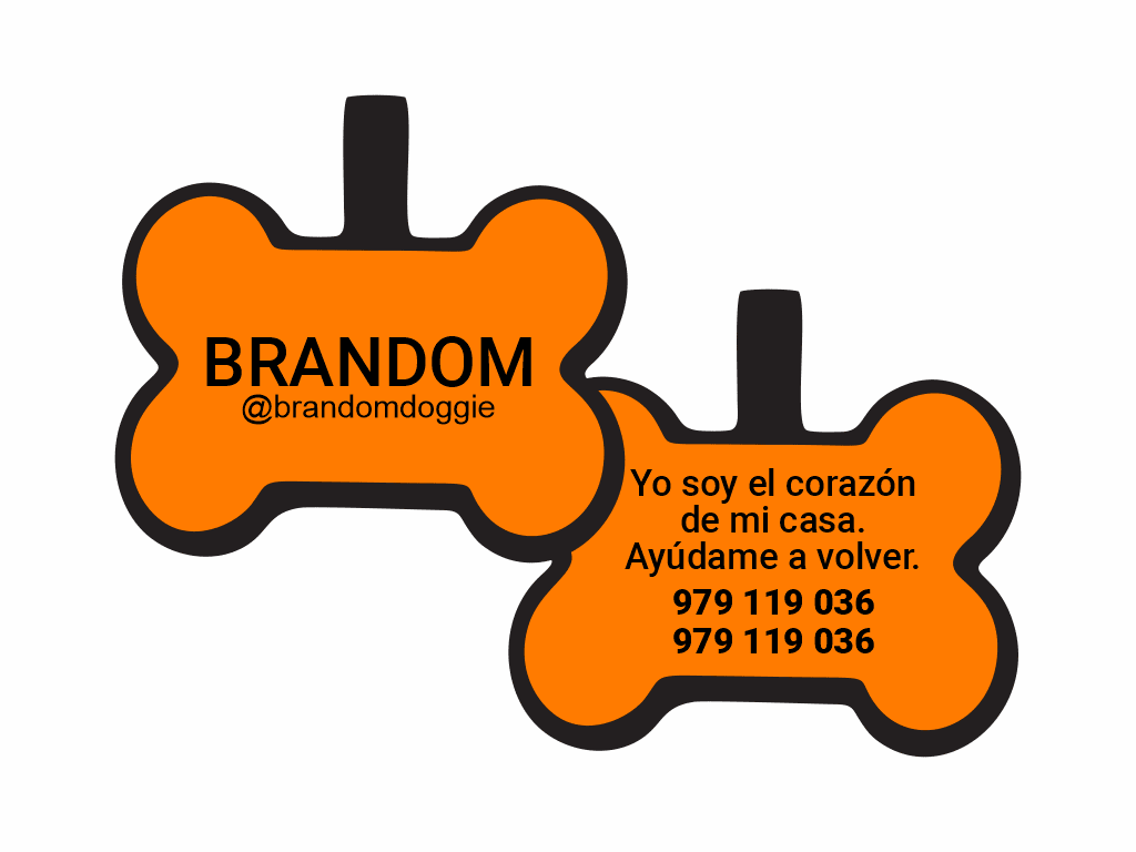 PLACA DE IDENTIFICACIÓN HUESO - SIN DISEÑO10