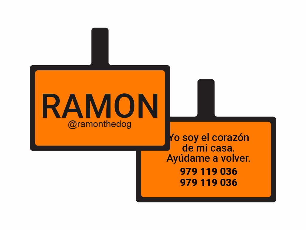 PLACA DE IDENTIFICACIÓN RECTÁNGULO - SIN DISEÑO9