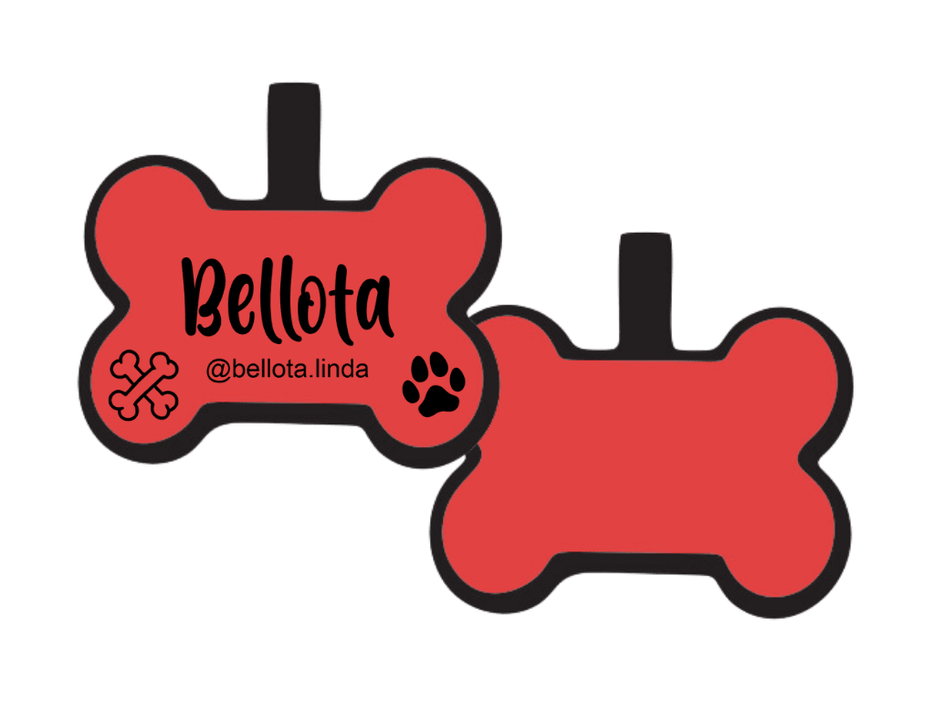 PLACA DE IDENTIFICACIÓN HUESO - DOGGIE PAW11