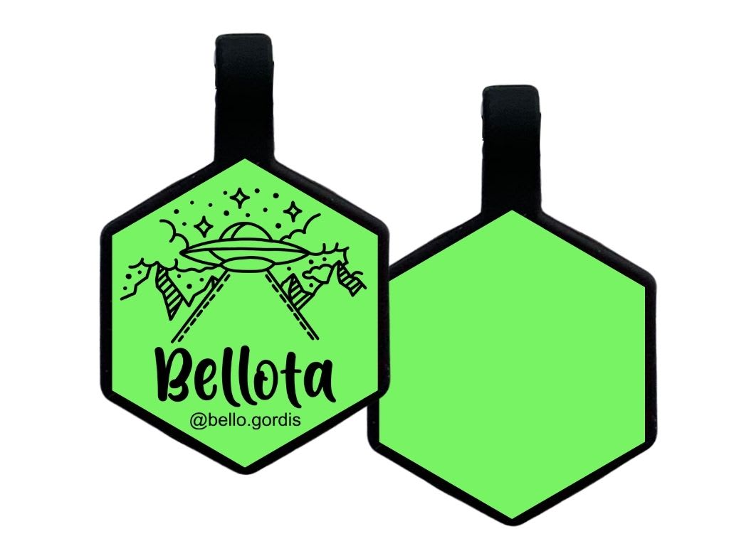 PLACA DE IDENTIFICACIÓN HEXÁGONO - ALIEN7