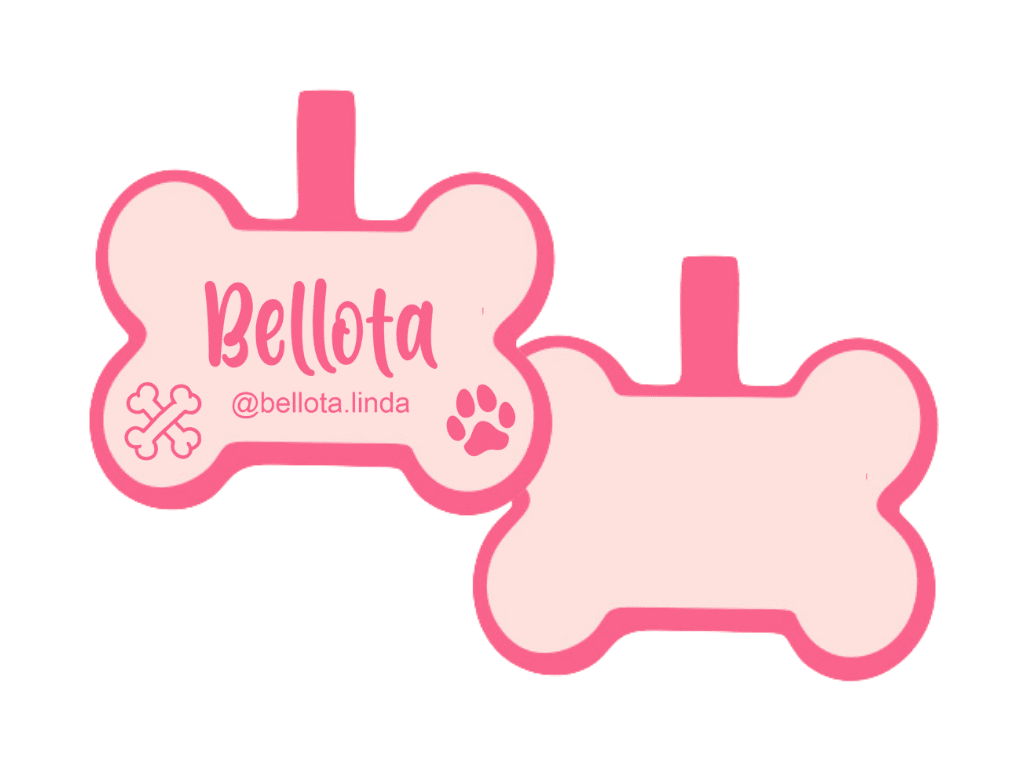 PLACA DE IDENTIFICACIÓN HUESO - DOGGIE PAW14