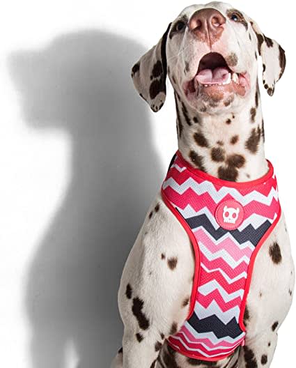 ZEEDOG MAUI PECHERA AIR MESH2