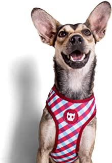 ZEEDOG GUMMY PECHERA AIR MESH5