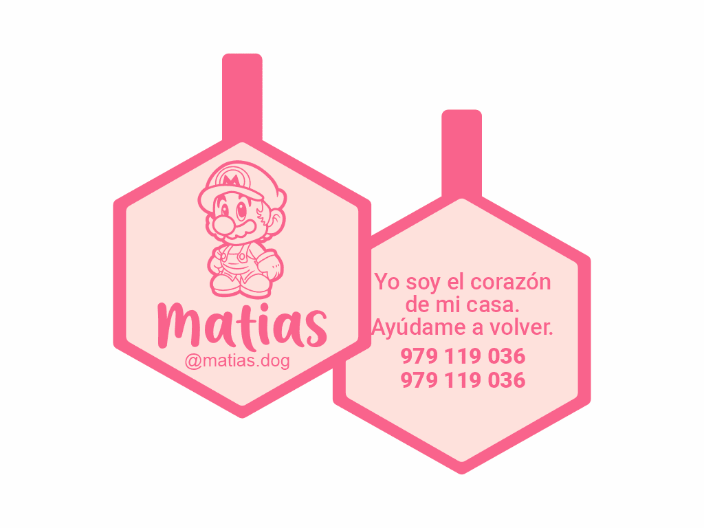 PLACA DE IDENTIFICACIÓN HEXÁGONO - MARIO1