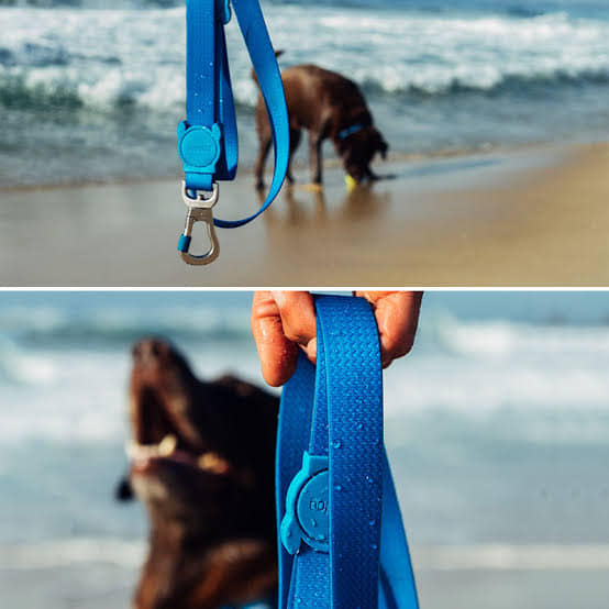 ZEEDOG CORREA NEOPRO BLUE2