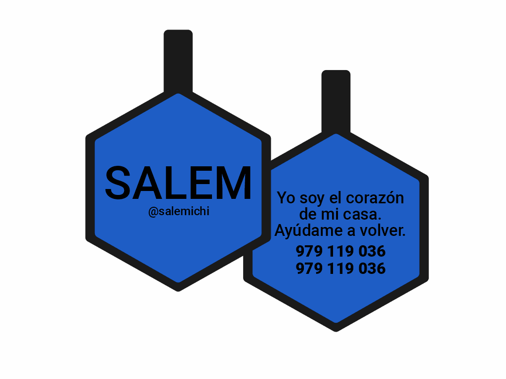 PLACA DE IDENTIFICACIÓN HEXÁGONO - SIN DISEÑO10