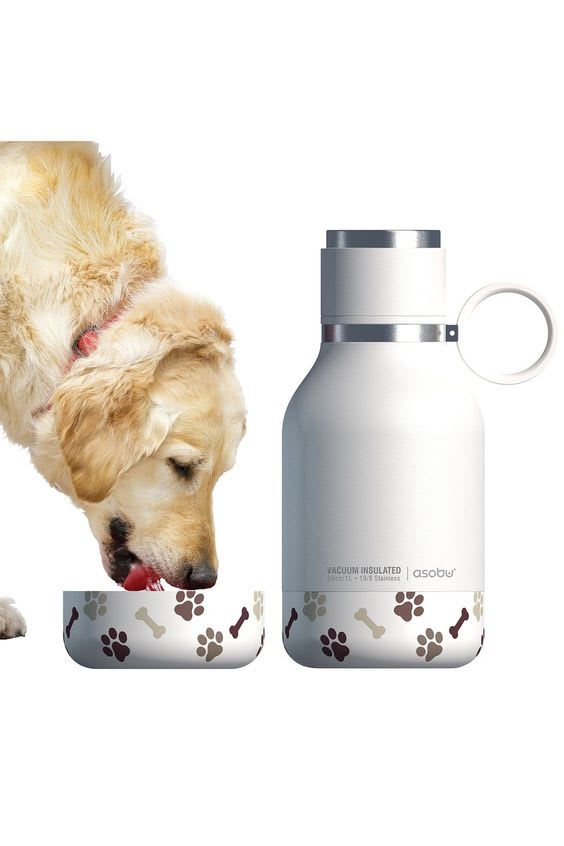 ASOBU DOG BOWL BOTTLE STAINLESS WHITE9