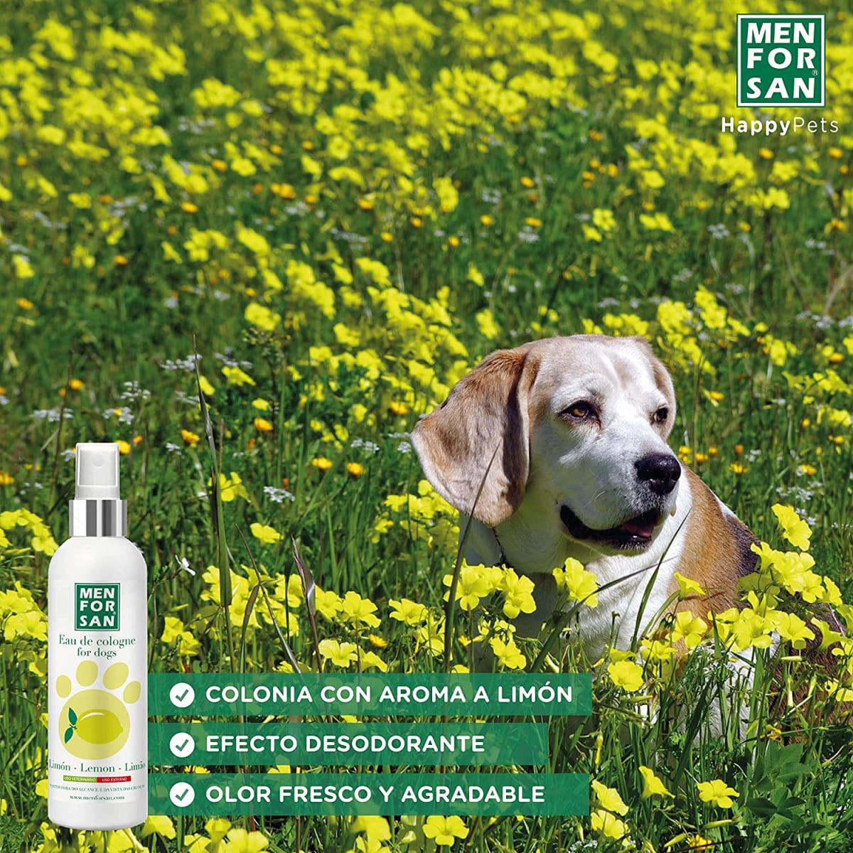 Men For San colonia limón para perros 125ML5