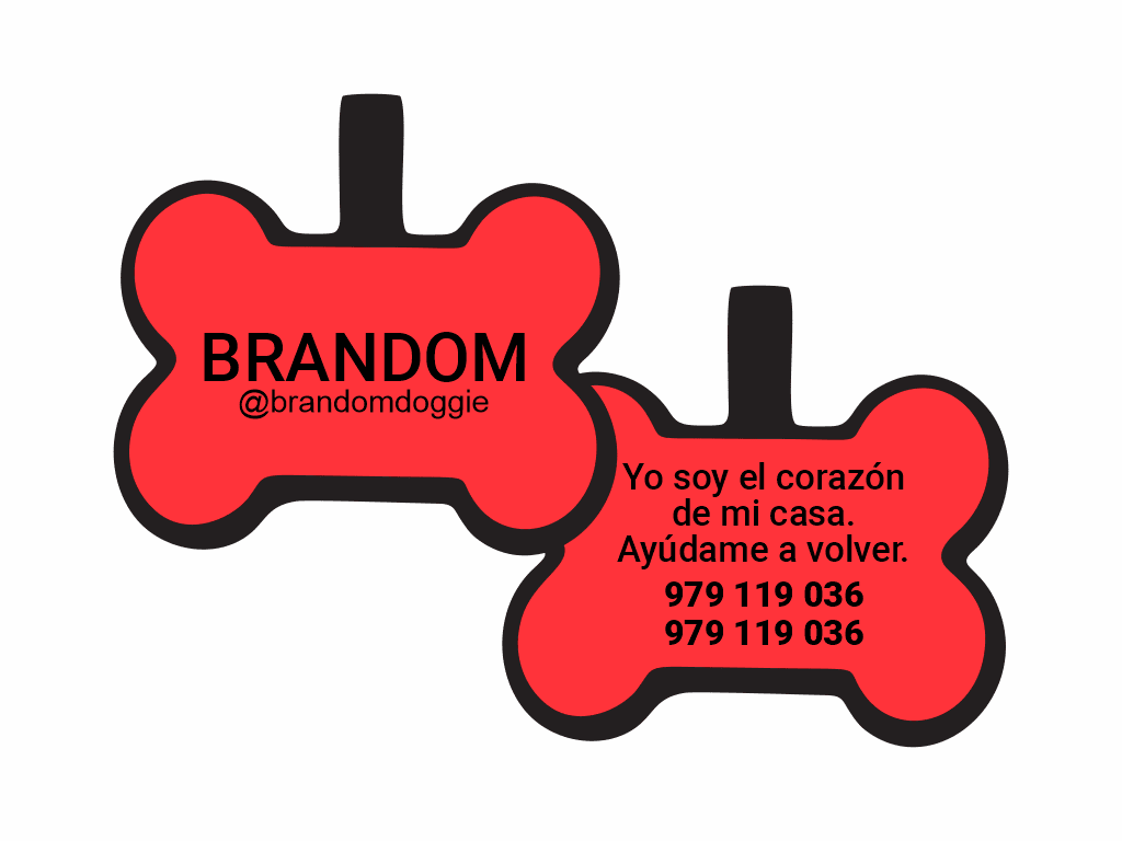 PLACA DE IDENTIFICACIÓN HUESO - SIN DISEÑO11