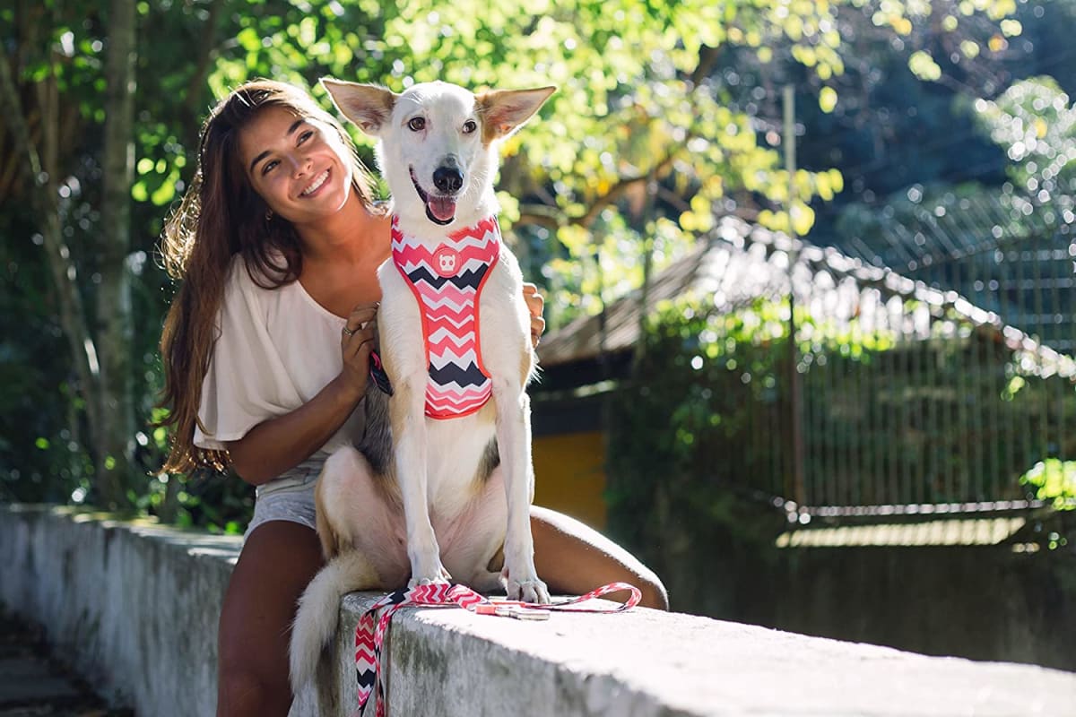 ZEEDOG MAUI PECHERA AIR MESH3