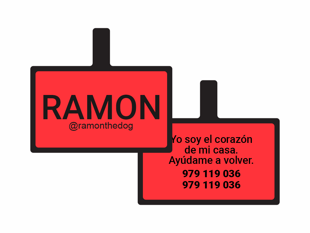PLACA DE IDENTIFICACIÓN RECTÁNGULO - SIN DISEÑO11