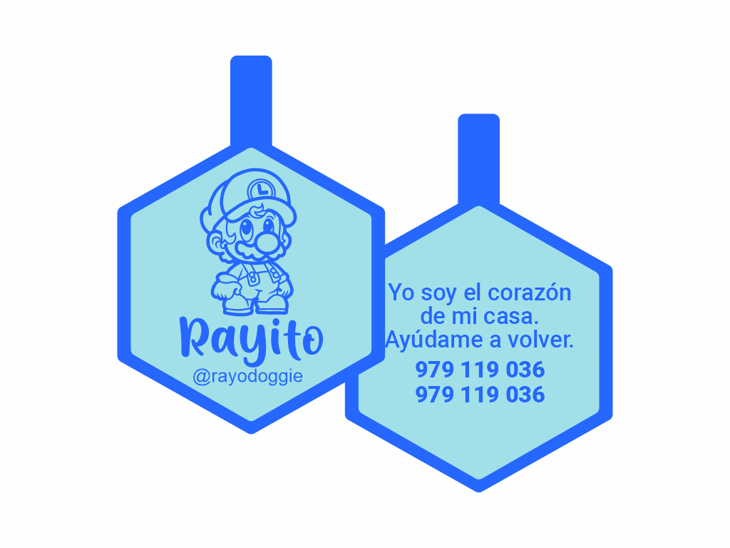 PLACA DE IDENTIFICACIÓN HEXÁGONO - LUIGI1