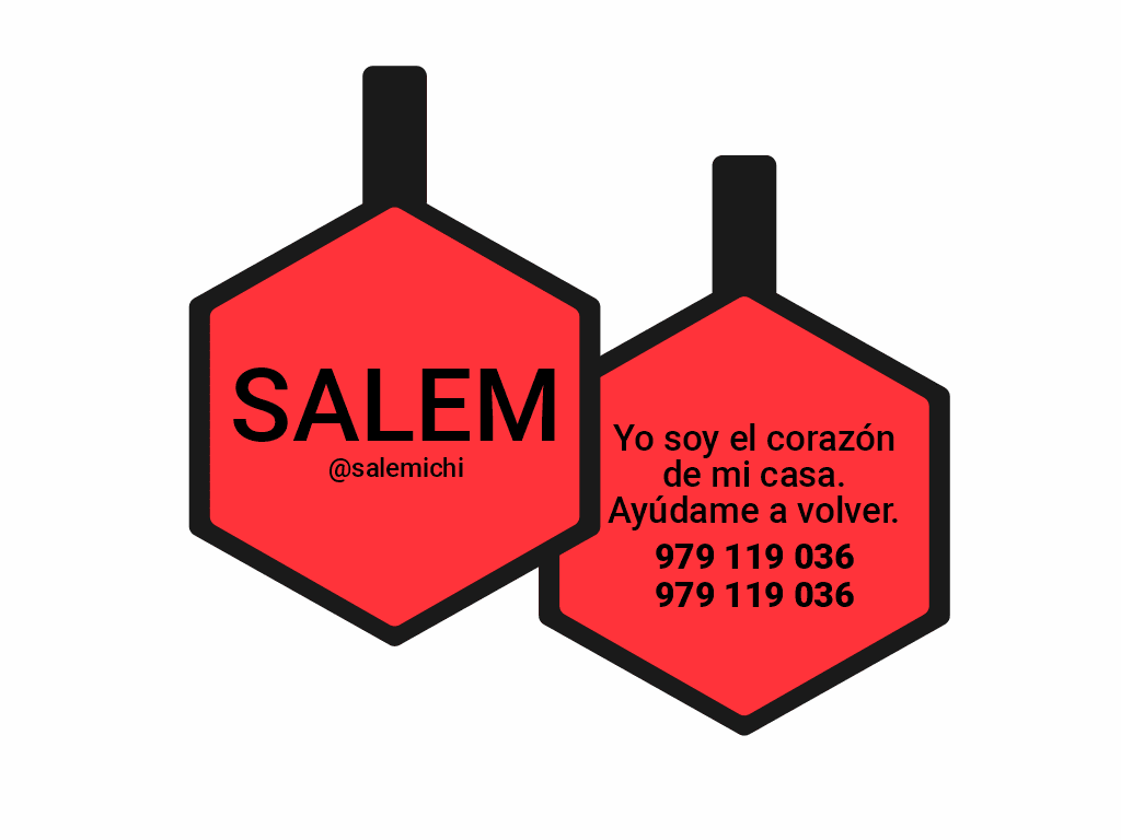 PLACA DE IDENTIFICACIÓN HEXÁGONO - SIN DISEÑO11