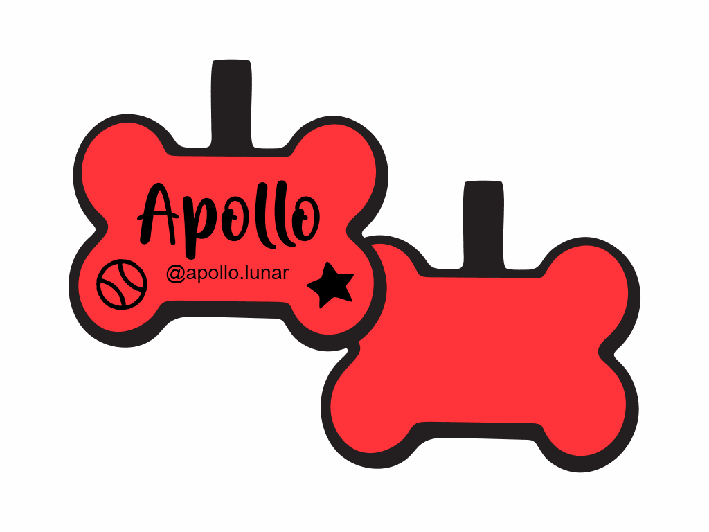 PLACA DE IDENTIFICACIÓN HUESO - ESTRELLA DE DEPORTE11