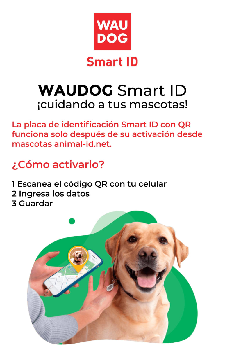 WAUDOG PLACA IDENTIFICACION SMART ID - WONDER WOMAN 3 - DC COMICS - APP GRATIS4